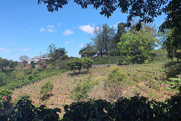 Costa Rica